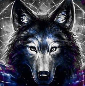 Meet your Posher, Hunter